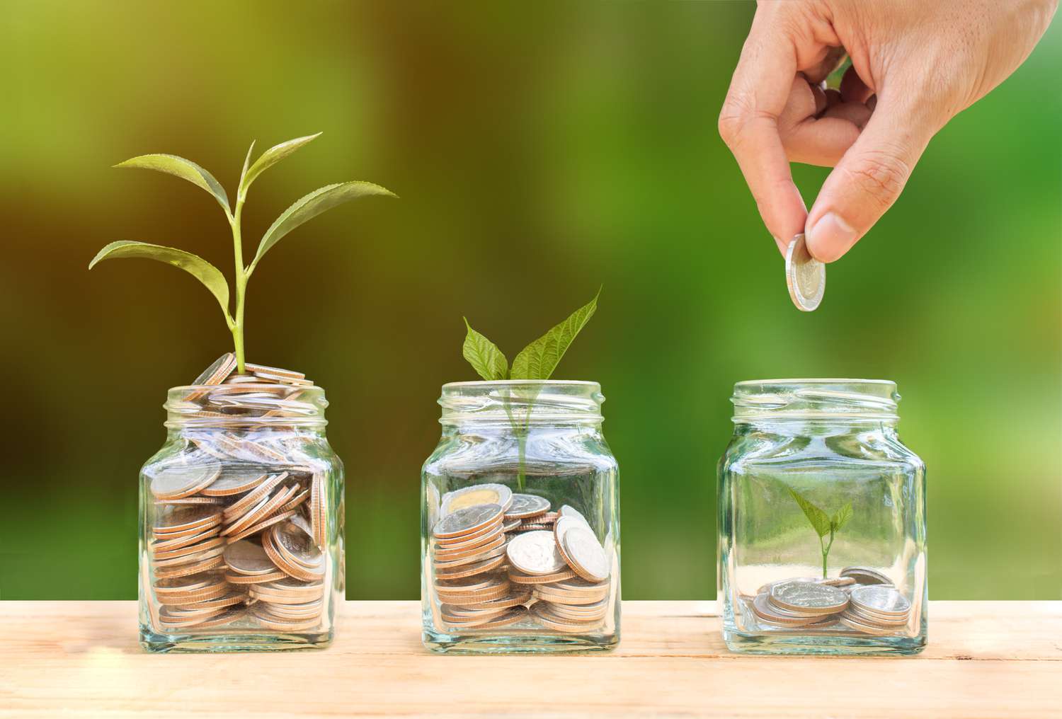 Best High-Interest Savings Accounts in Malaysia